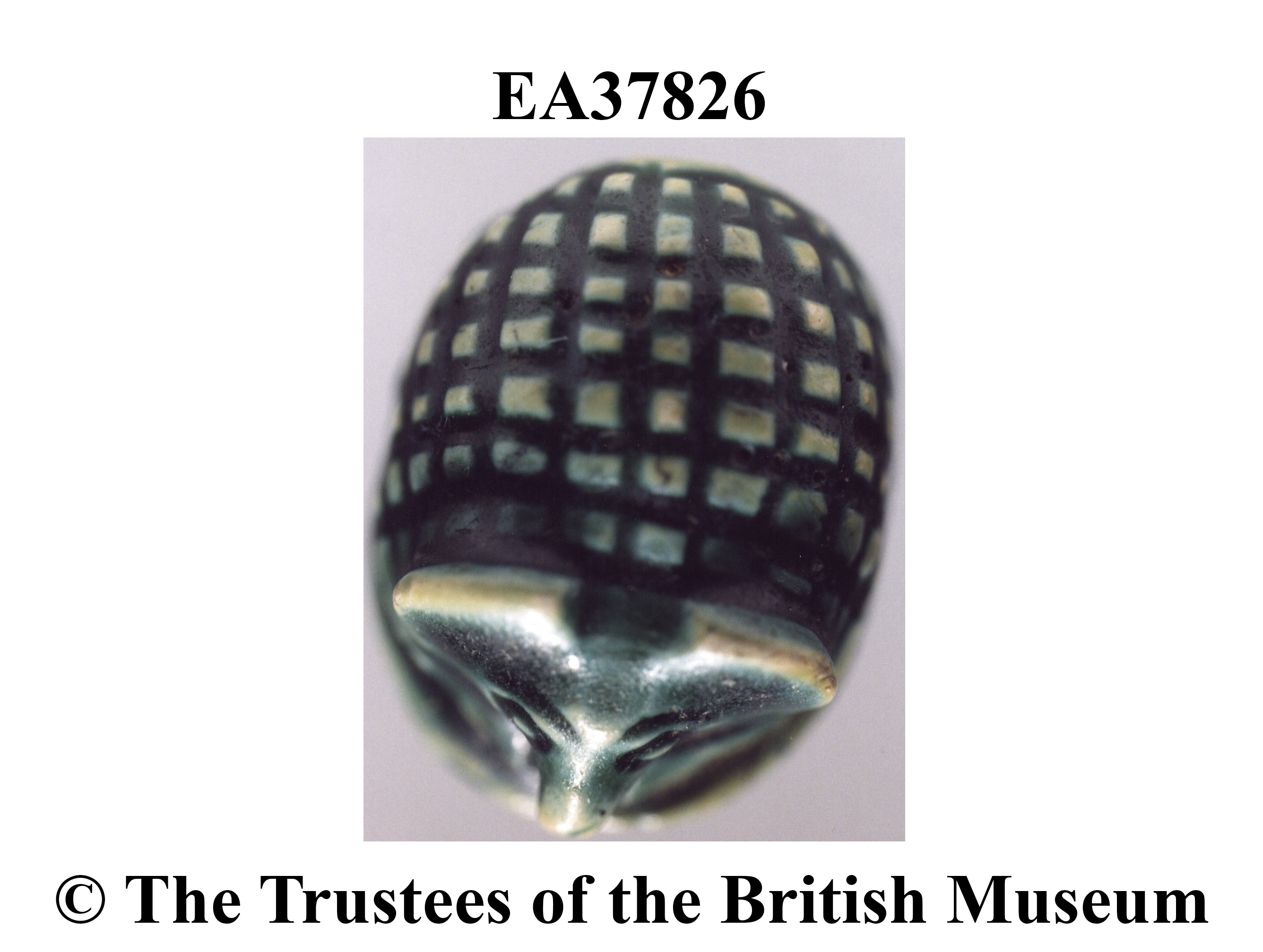 Image for: Stamp amulet of a hedgehog