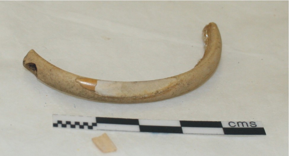 Image for: Fragment of a bone wristlet