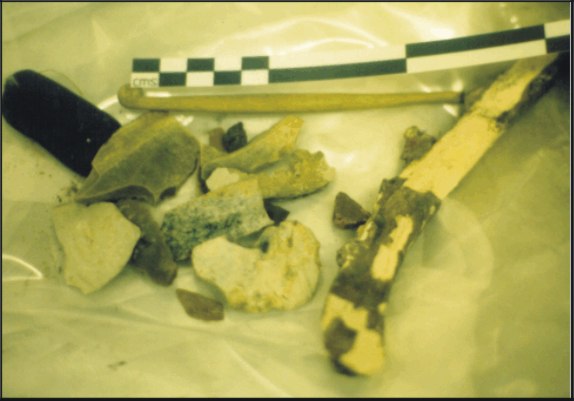 Image for: Flint debitage and a bone artefact