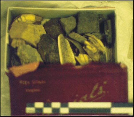 Image for: Box of various objects including flint, pottery and teeth