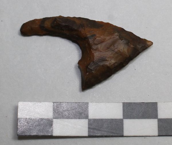 Image for: Flint arrowhead