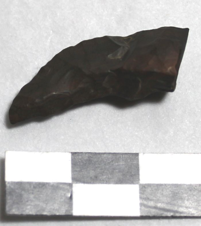Image for: Tang of a flint arrowhead