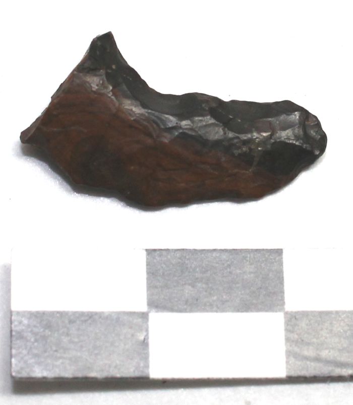 Image for: Tang of a flint arrowhead