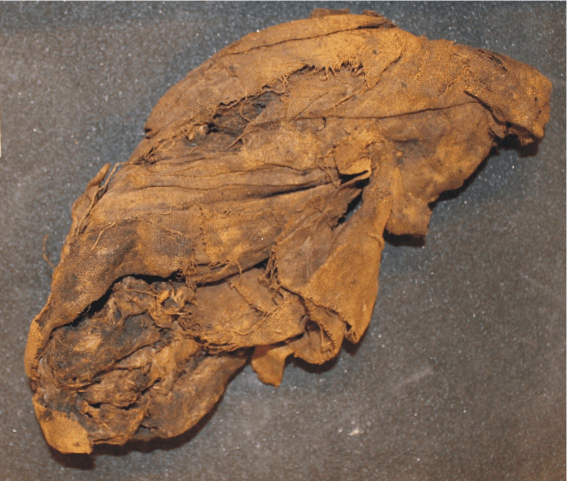 Image for: Mummified animal remains