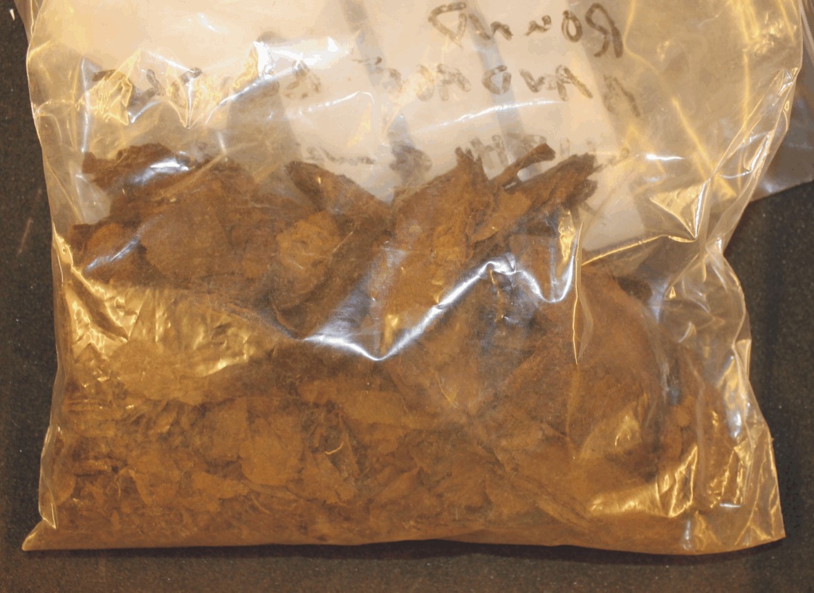Image for: Mummified  animal remains