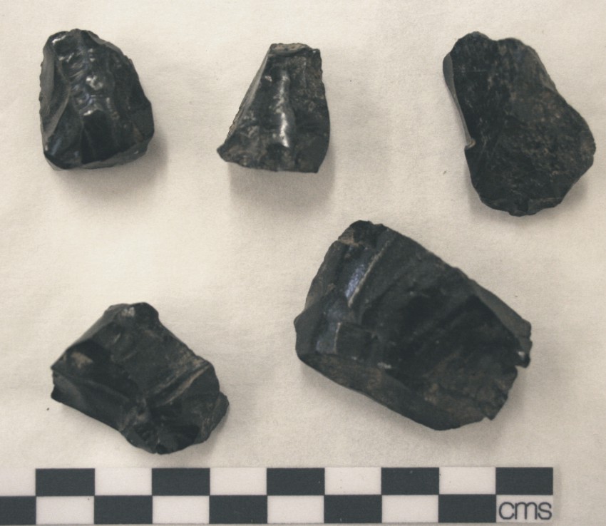 Image for: Fragments of obsidian