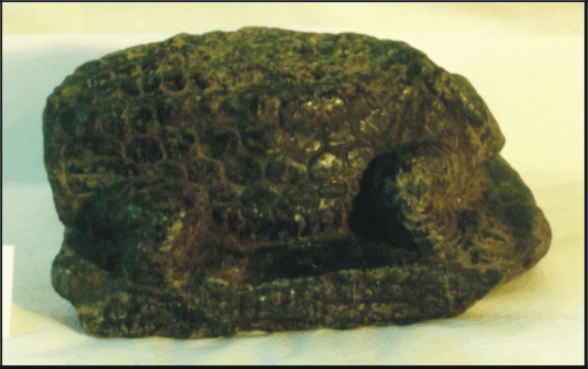 Image for: Fragment of a stone statue of a crocodile