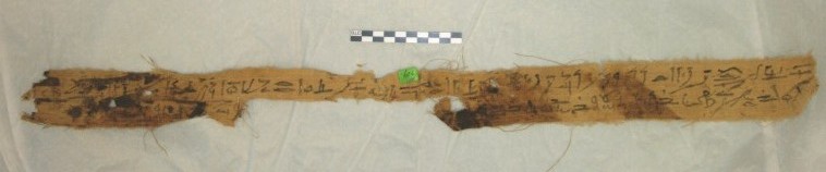 Image for: Bandage decorated with text